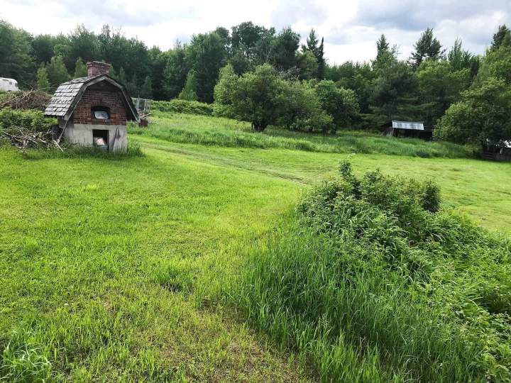 Prairie verdoyante de la ferme Estrie